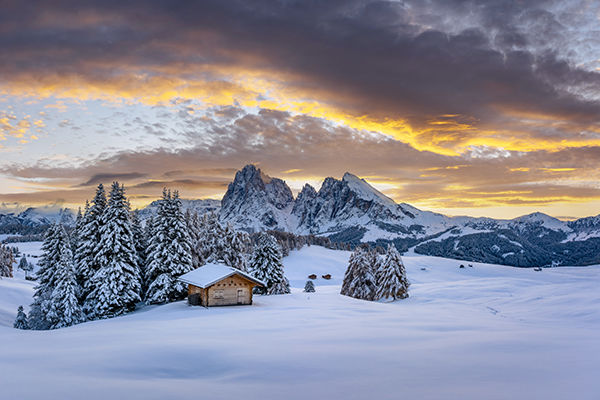 Natura e aria fresca